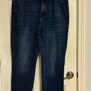 Talbots Indigo Denim Pants